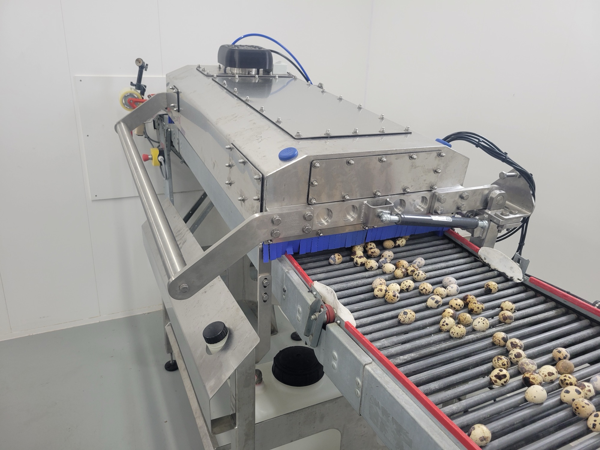 Hygienic stainless grading machine running product